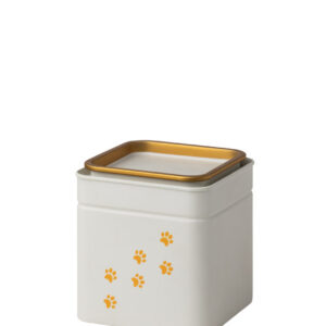 Kleine Zinnurne mit goldfarbenen Pfotenspuren und hellem Deckel – eine schlichte, würdige Erinnerung an ein geliebtes Tier.